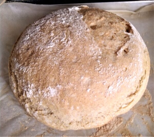 corso: Un mondo di pane