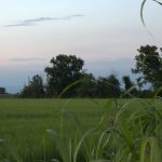 IMG_7344 (2)