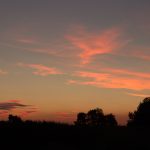 IMG_7351 (2)